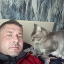 ���������� ���������, ���� ������� Picassso, 40 ���, ������������ ��� ������, ����� � ���������