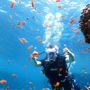 ���������� ����, ���� ������� �����, 37 ���, ������������ ��� ������, ����� � ���������