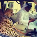 ���������� ������, ���� ������� �����, 38 ���, ������������ ��� ������, ����� � ���������, c�������� ���������