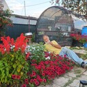 ���������� ���������, ���� ������� ����, 52 ����, ������������ ��� ������, ����� � ���������, c�������� ���������, ���������