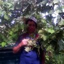 ���������� �����, ���� ������� ����, 55 ���, ������������ 