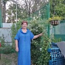  ,   , 62 ,   ,   