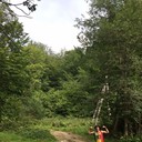 ���������� ����, ���� ������� ����, 35 ���, ������������ ��� ����� � ���������, c�������� ���������