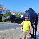  ,   , 58 ,   ,   