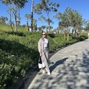 ���������� ���������, ���� ������� ���, 37 ���, ������������ 