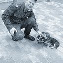 ���������� ������, ���� ������� Antoxa, 32 ����, ������������ ��� ������, ����� � ���������, c�������� ���������