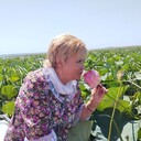  ,   , 55 ,     , 