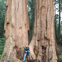 ���������� ������, ���� ������� Kitty hunter, 41 ���, ������������ ��� ������, ����� � ���������, c�������� ���������