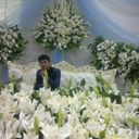 ���������� �����, ���� ������� Gersan, 36 ���, ������������ ��� ����� � ���������, c�������� ���������