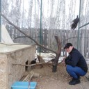 ���������� ���������, ���� ������� ����, 41 ���, ������������ ��� ������, ����� � ���������, c�������� ���������