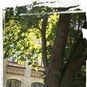 ���������� ��������, ���� ������� ���, 34 ����, ������������ ��� ������, ����� � ���������, c�������� ���������