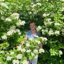 ���������� ��������, ���� ������� ����, 75 ���, ������������ ��� ������, ����� � ���������