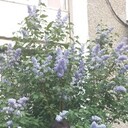 ���������� ���������, ���� ������� ������, 47 ���, ������������ ��� ������, ����� � ���������, c�������� ���������