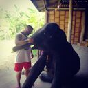 ���������� ������, ���� ������� �����, 31 ���, ������������ ��� ������, ����� � ���������