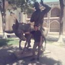 ���������� ������, ���� ������� �����, 37 ���, ������������ ��� ������, ����� � ���������