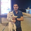 ���������� ������, ���� ������� ����, 36 ���, ������������ ��� ������, ����� � ���������, c�������� ���������, ���������