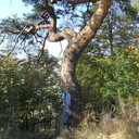 ���������� ������, ���� ������� ������, 64 ����, ������������ ��� ������, ����� � ���������, c�������� ���������