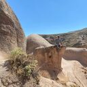 ���������� �����, ���� ������� ������, 38 ���, ������������ ��� ������, ����� � ���������, c�������� ���������