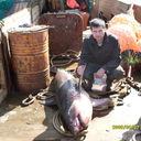 ���������� �������������-����������, ���� ������� Alex, 41 ���, ������������ ��� ������, ����� � ���������, c�������� ���������