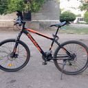 ���������� ������, ���� ������� ���������, 38 ���, ������������ ��� c�������� ���������