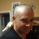 ���������� ����, ���� ������� Roman, 39 ���, ������������ ��� ������, ����� � ���������, c�������� ���������