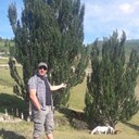 ���������� ������, ���� ������� Erhan, 41 ���, ������������ ��� ������, ����� � ���������