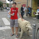 ���������� �����, ���� ������� ����� 001, 36 ���, ������������ ��� ����� � ���������, c�������� ���������