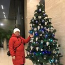 ���������� ������, ���� ������� �����, 48 ���, ������������ ��� ����� � ���������, c�������� ���������, ���������