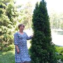 ���������� ���������, ���� ������� ������, 56 ���, ������������ ��� c�������� ���������