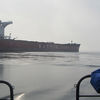  ,   Serega, 40 ,   ,   , c 