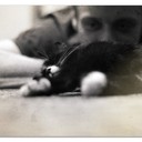 ���������� ������, ���� ������� ����, 37 ���, ������������ ��� ������, ����� � ���������, c�������� ���������