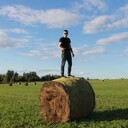 ���������� ��������, ���� ������� ������, 31 ���, ������������ ��� ������, ����� � ���������