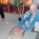 ���������� ����, ���� ������� ��������, 50 ���, ������������ ��� ����� � ���������, c�������� ���������