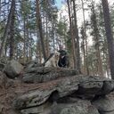 ���������� ������������, ���� ������� ����, 44 ����, ������������ ��� ������, ����� � ���������, c�������� ���������, ���������