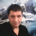  ,   German, 58 ,   