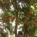  ,   , 47 ,     , c 