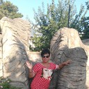 ���������� ���������, ���� ������� ����, 49 ���, ������������ ��� ������, ����� � ���������, c�������� ���������