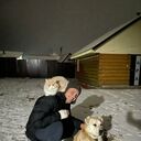 ���������� �����, ���� ������� �������, 48 ���, ������������ ��� ������, ���������