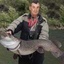 ���������� �������, ���� ������� ������, 62 ����, ������������ ��� ������, ����� � ���������, c�������� ���������