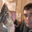 ���������� ���������, ���� ������� ������, 41 ���, ������������ ��� ������, ����� � ���������