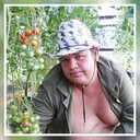   ,   , 44 ,   