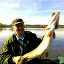  ,   , 71 ,  