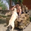 ���������� ����, ���� ������� �������, 37 ���, ������������ ��� ����� � ���������, c�������� ���������