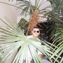  ,   , 40 ,   ,   , c 