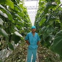 ���������� ������, ���� ������� �����, 29 ���, ������������ ��� ������, ����� � ���������