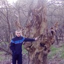 ���������� ����, ���� ������� ����, 38 ���, ������������ ��� ������, ����� � ���������, c�������� ���������