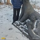  ,   Denis, 33 ,   , 