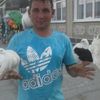  ,   , 44 ,   , 