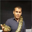 ���������� ������, ���� ������� �������, 41 ���, ������������ ��� ������