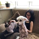 ���������� ������, ���� ������� ����, 39 ���, ������������ ��� ������, ����� � ���������, c�������� ���������